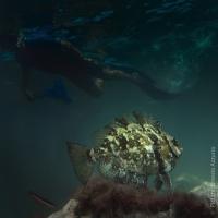 Foto di Ernesto Azzurro