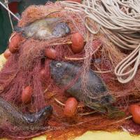 Foto di Ernesto Azzurro