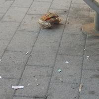 Cortile Principale Monastero dei Benedettini Catania