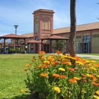 Un angolo del Parco Verde dell'ex vetreria di Pirri, poco fuori il centro cittadino di Cagliari