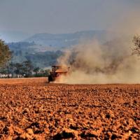 DesertificazioneSardegnaTitolo