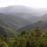 foto vallata di is cannoneris tratta da chia.it