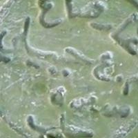 Sapone di Aleppo sapone di aleppo